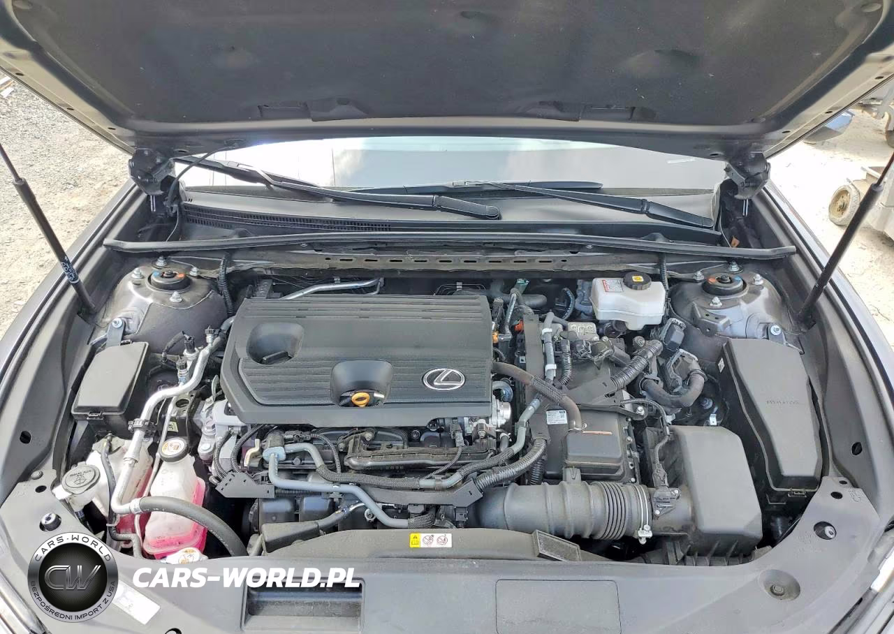 2024 Lexus Es 300H Base VIN:58ADA1C18RU053192 - 11