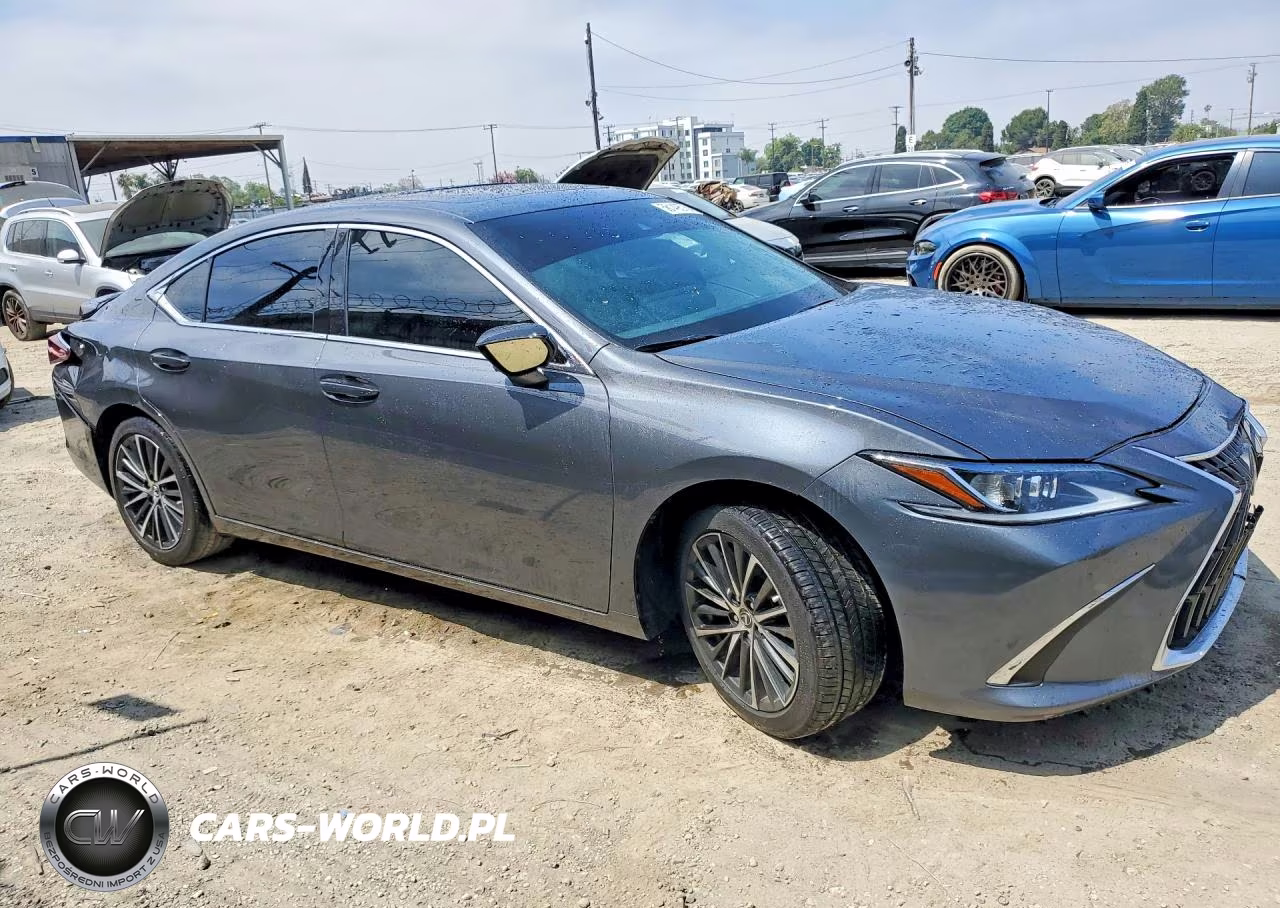 2024 Lexus Es 300H Base VIN:58ADA1C18RU053192 - 4