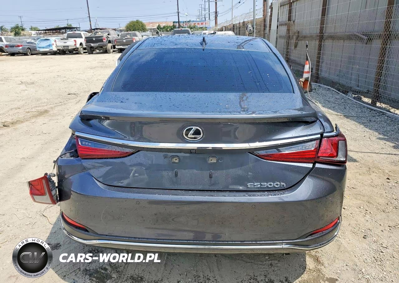 2024 Lexus Es 300H Base VIN:58ADA1C18RU053192 - 6
