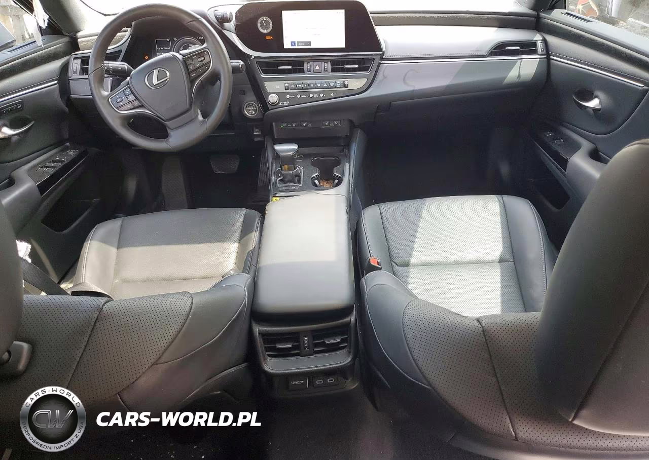 2024 Lexus Es 300H Base VIN:58ADA1C18RU053192 - 8