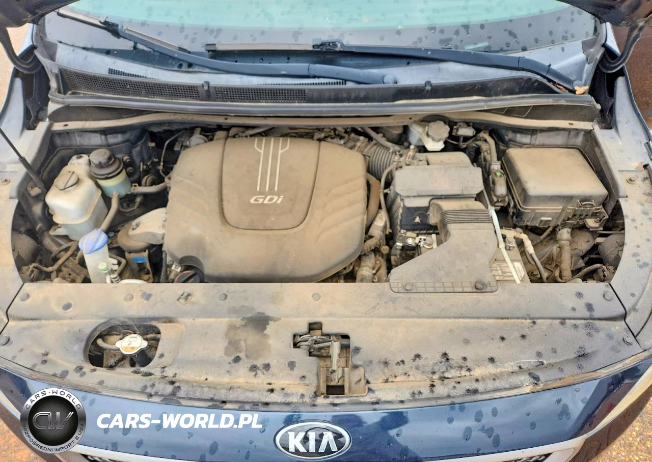 2015 Kia Sedona Lx VIN:KNDMB5C14F6029715 - 12