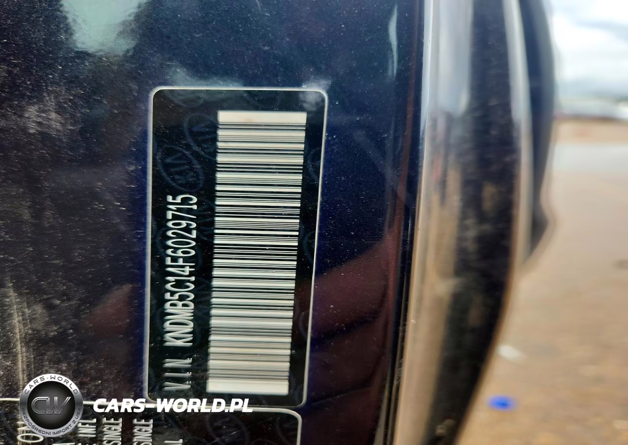 2015 Kia Sedona Lx VIN:KNDMB5C14F6029715 - 13