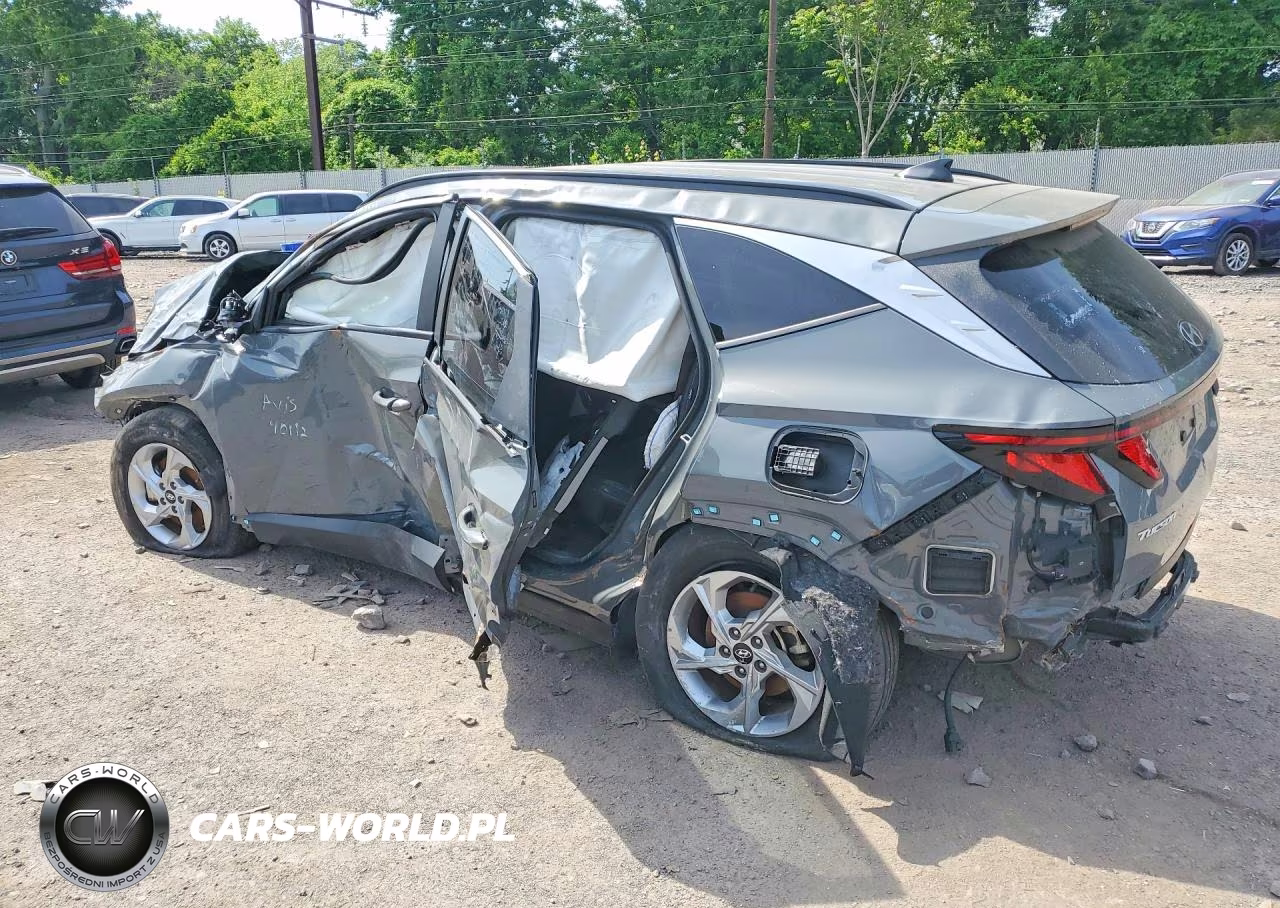 2024 Hyundai Tucson Sel VIN:5NMJBCDEXRH329484 - 2