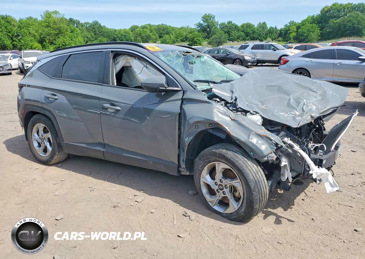 2024 Hyundai Tucson Sel VIN:5NMJBCDEXRH329484 - 4