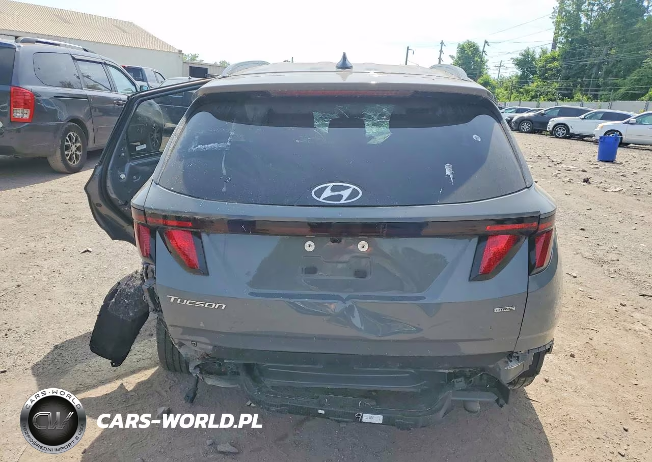 2024 Hyundai Tucson Sel VIN:5NMJBCDEXRH329484 - 6