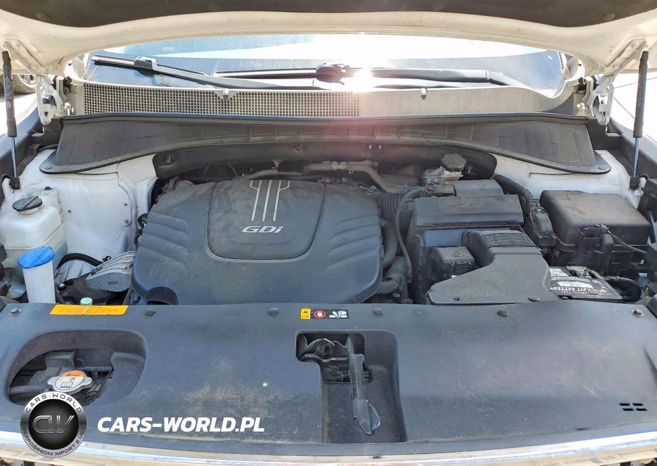 2018 Kia Sorento Sx V6 VIN:5XYPK4A5XJG377442 - 12