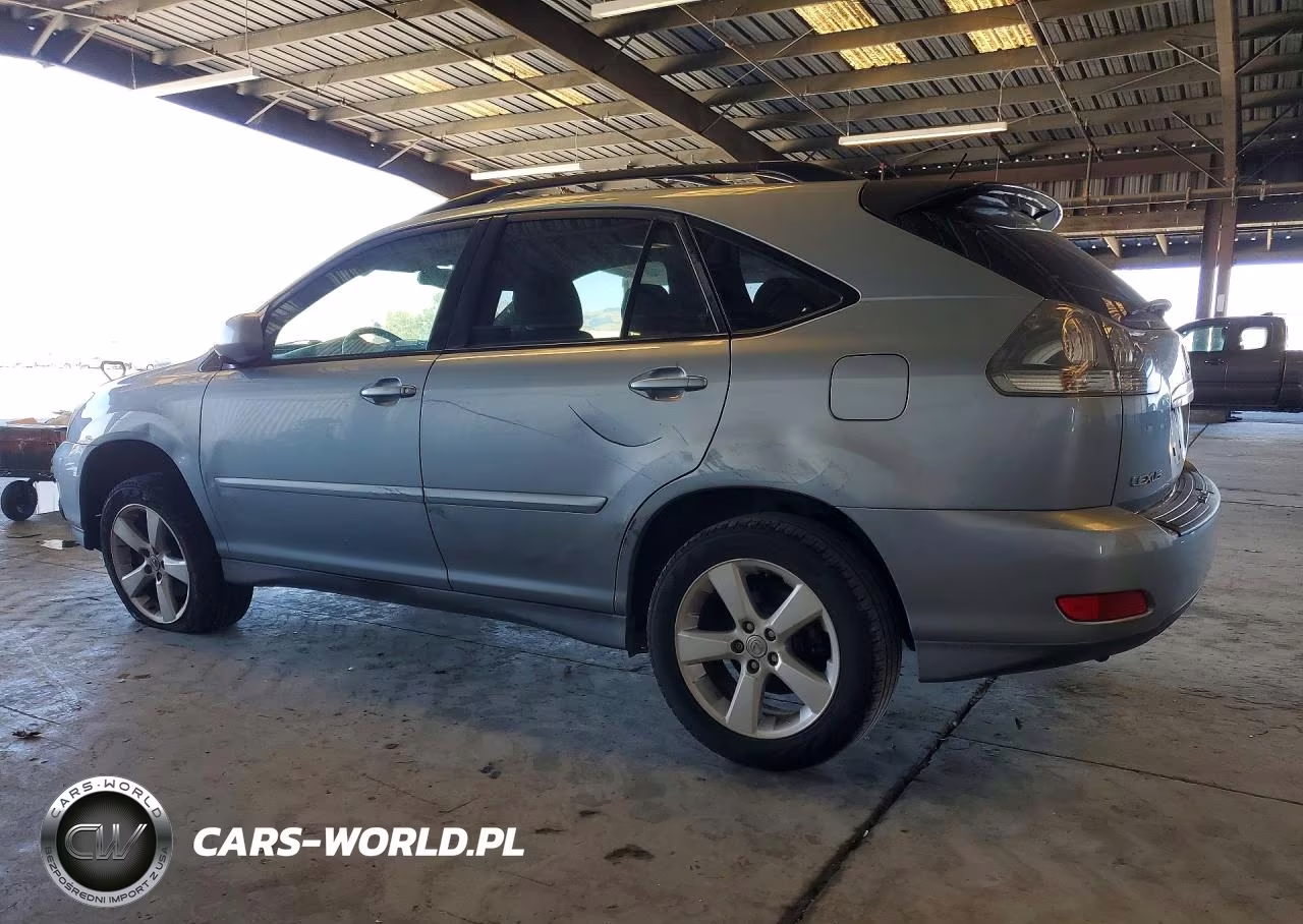 2004 Lexus Rx 330 VIN:JTJGA31U540028264 - 2