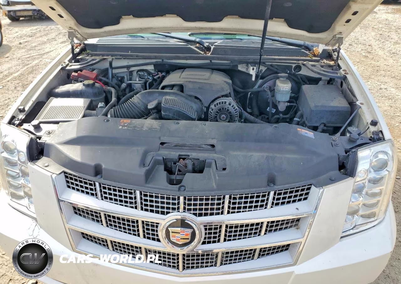2013 Cadillac Escalade Platinum VIN:1GYS4DEF9DR320530 - 12