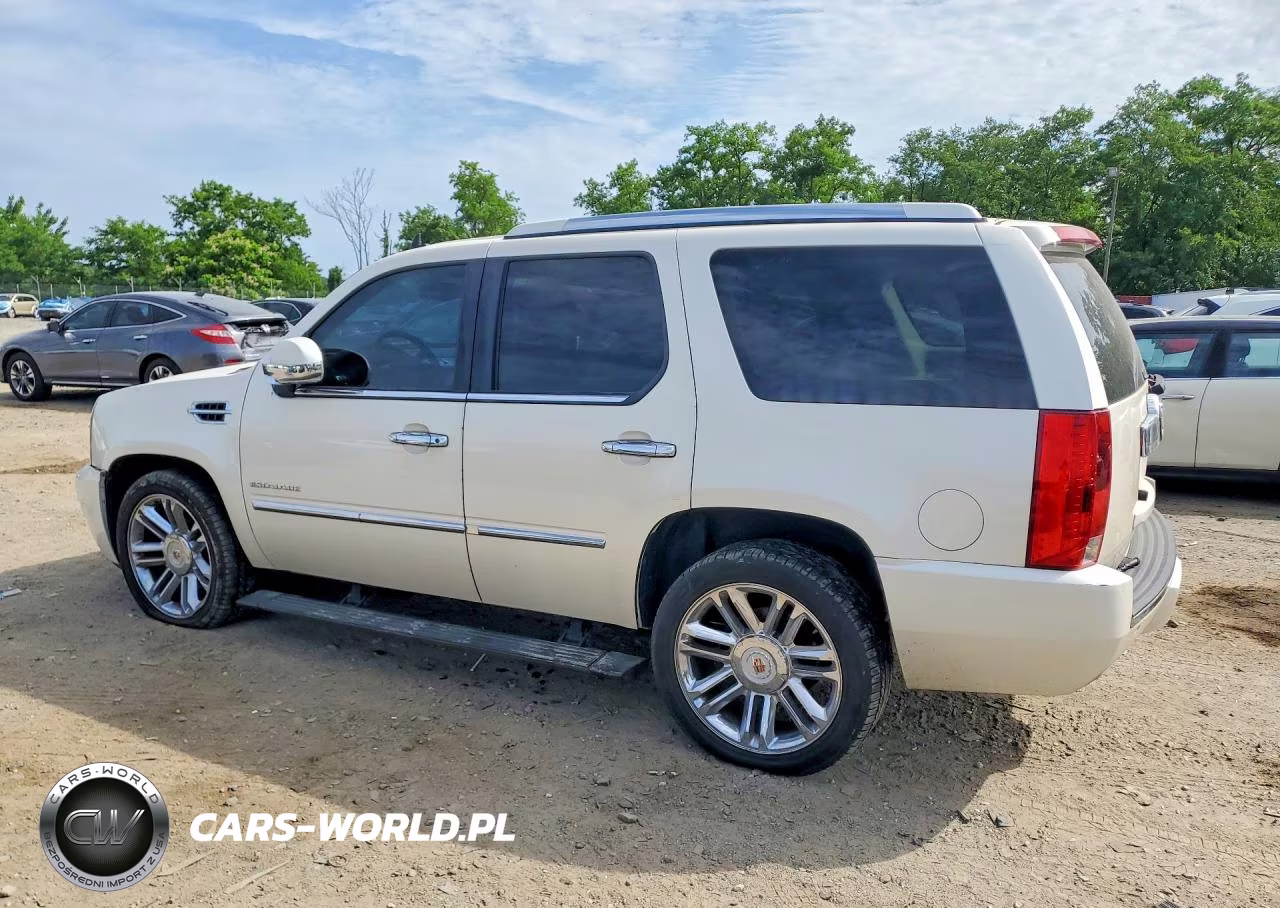2013 Cadillac Escalade Platinum VIN:1GYS4DEF9DR320530 - 2