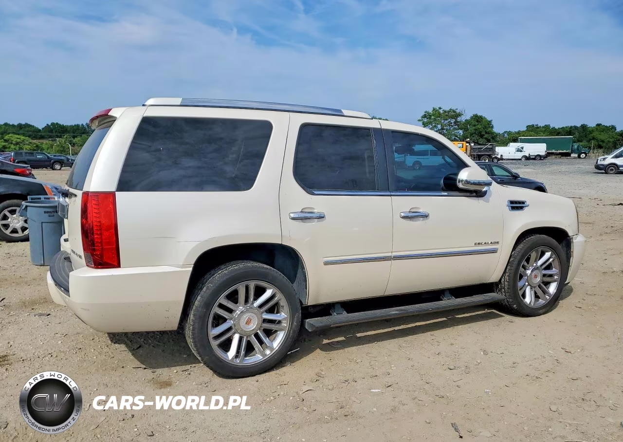 2013 Cadillac Escalade Platinum VIN:1GYS4DEF9DR320530 - 3