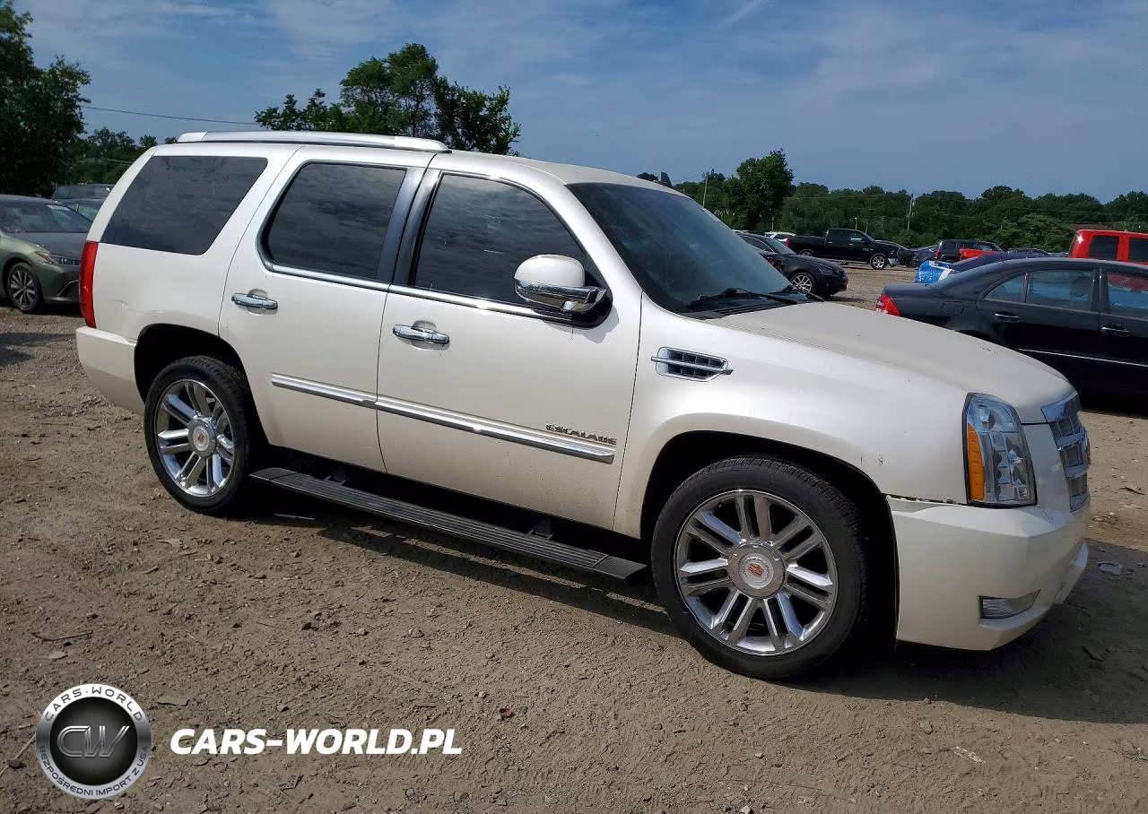 2013 Cadillac Escalade Platinum VIN:1GYS4DEF9DR320530 - 4