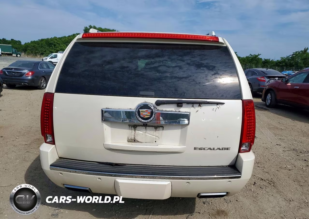 2013 Cadillac Escalade Platinum VIN:1GYS4DEF9DR320530 - 6