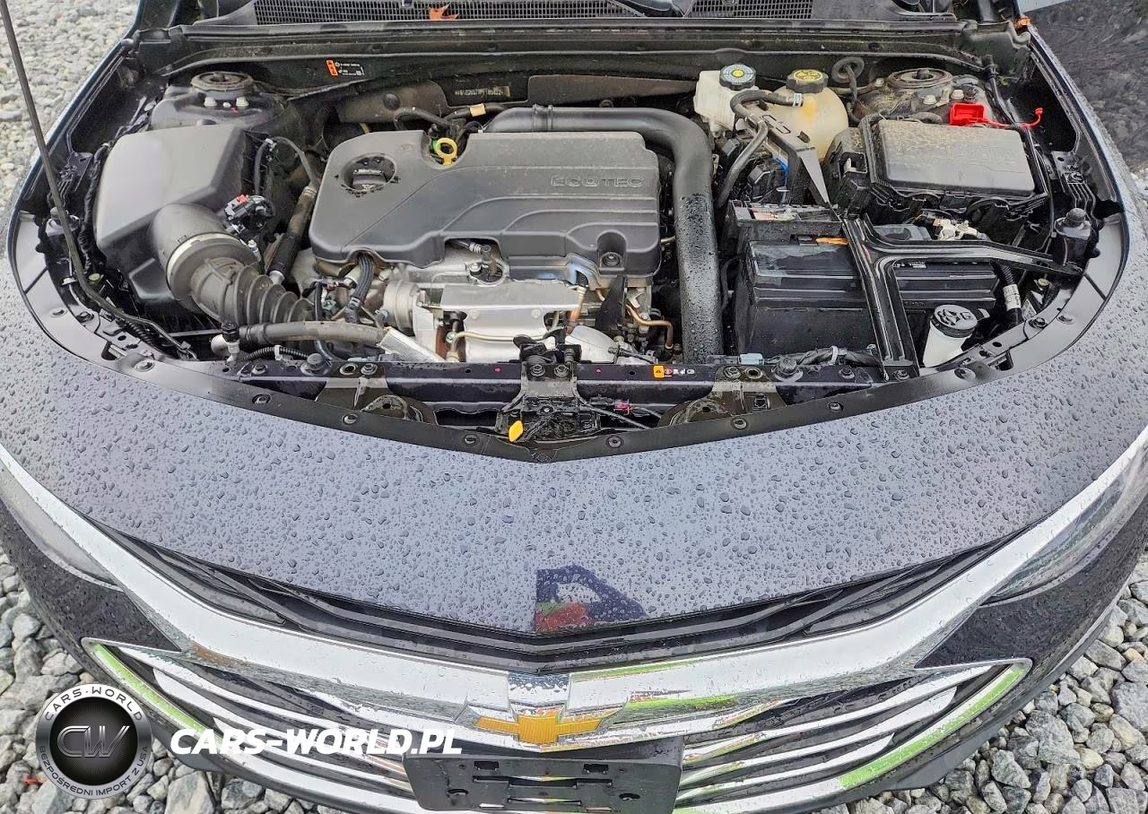 2023 Chevrolet Malibu Lt VIN:1G1ZD5STXPF185822 - 11