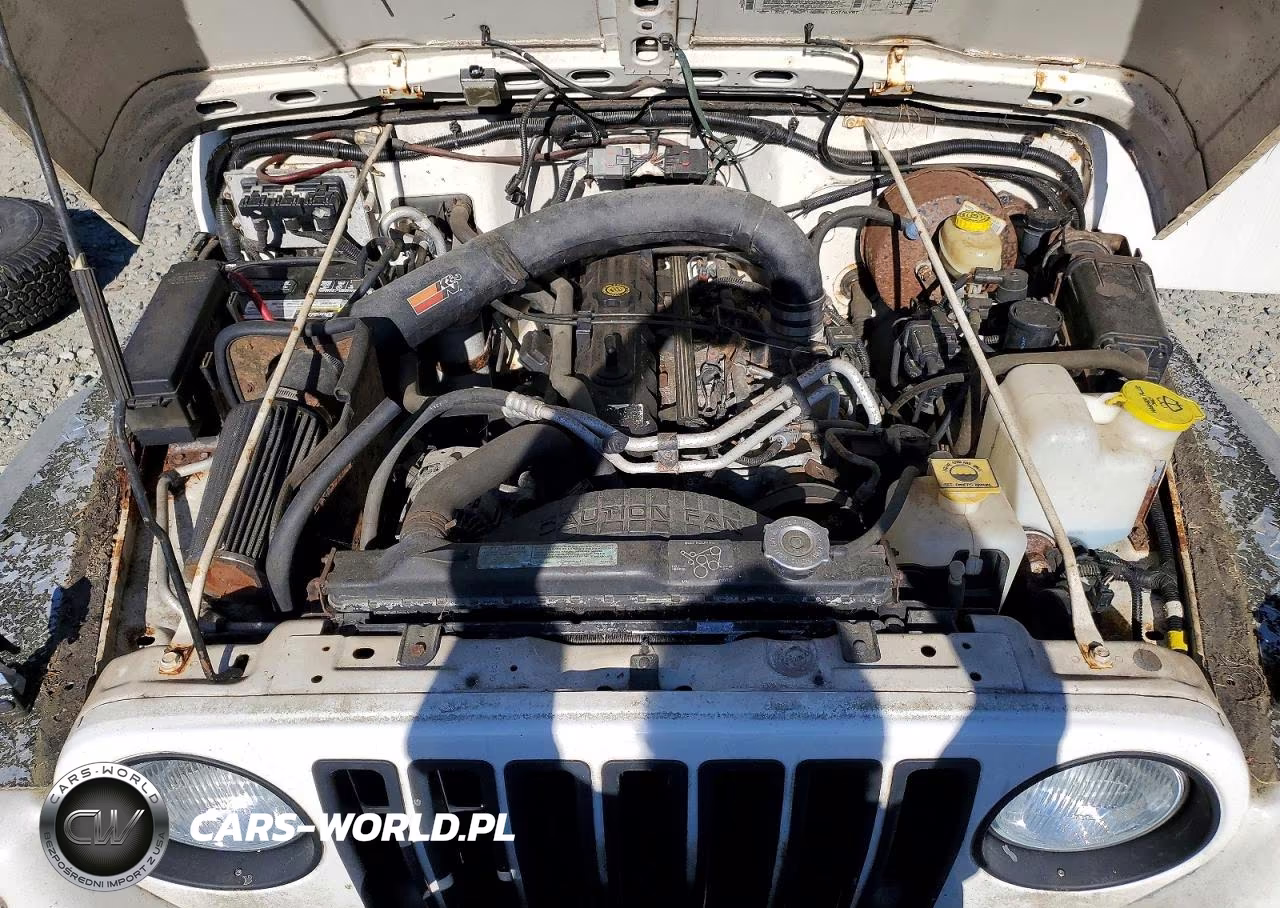 2000 Jeep Wrangler - Tj Sport VIN:1J4FA49S8YP730609 - 11