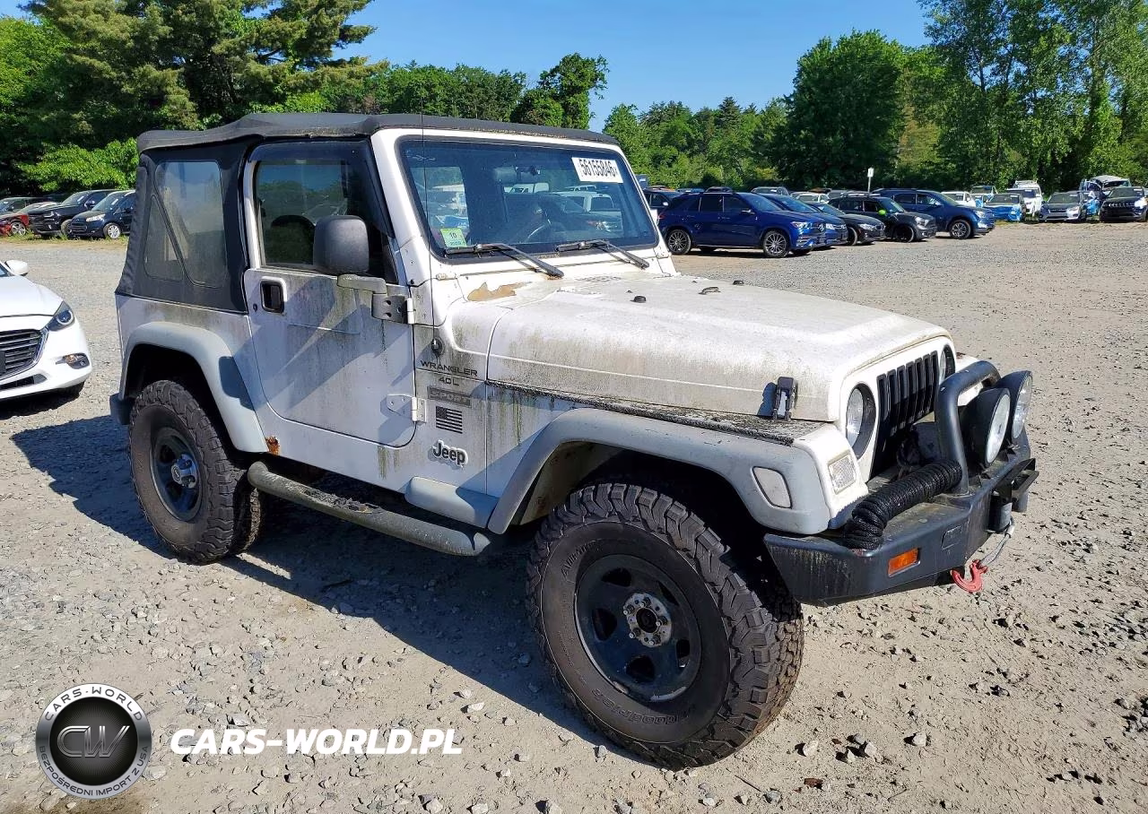2000 Jeep Wrangler - Tj Sport VIN:1J4FA49S8YP730609 - 4