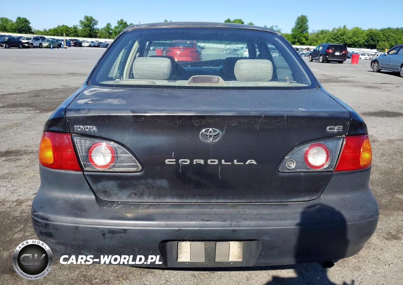1999 Toyota Corolla Ve VIN:2T1BR12E3XC252922 - 6