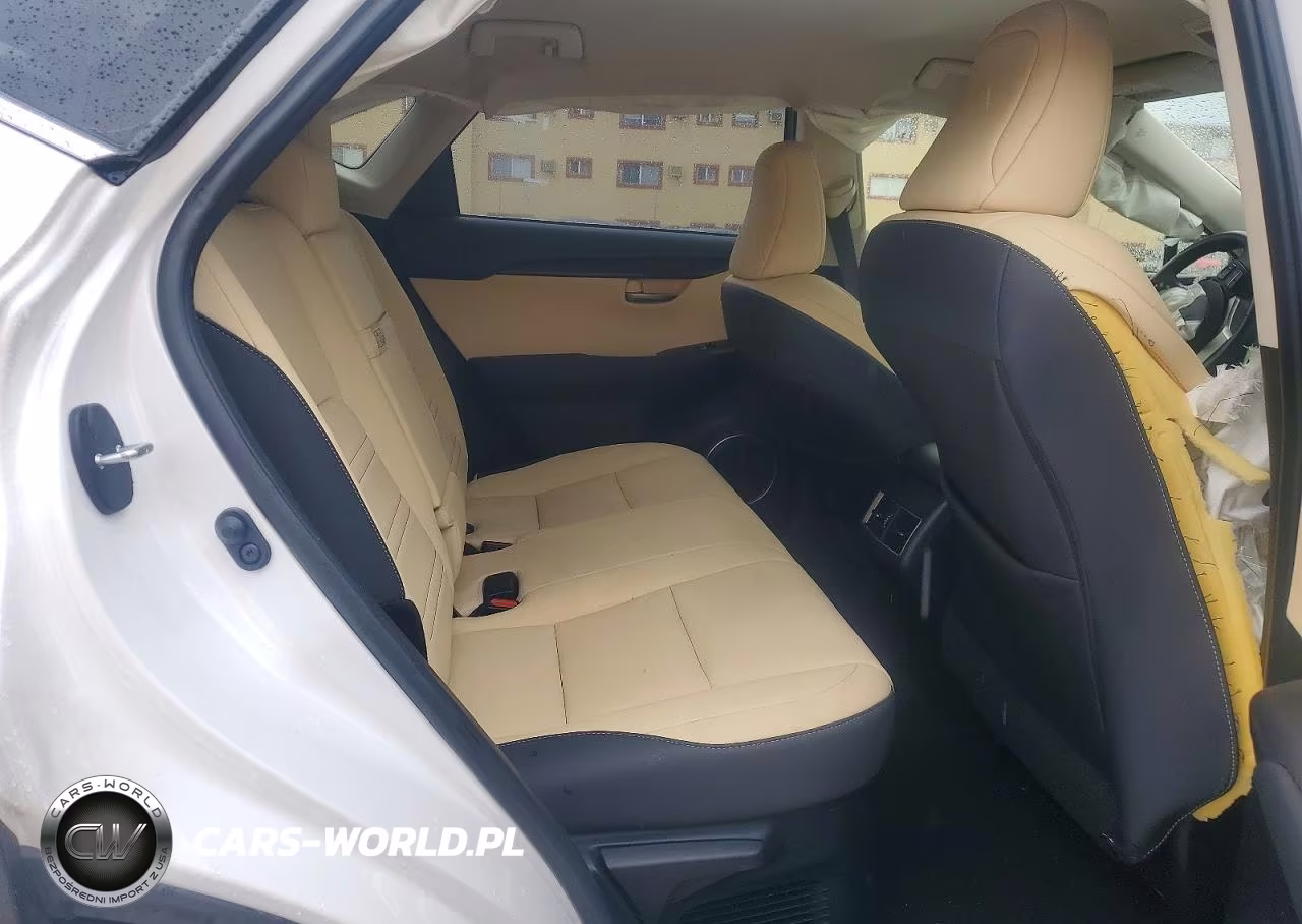2021 Lexus Nx 300 Base VIN:JTJDARBZ0M5029356 - 10