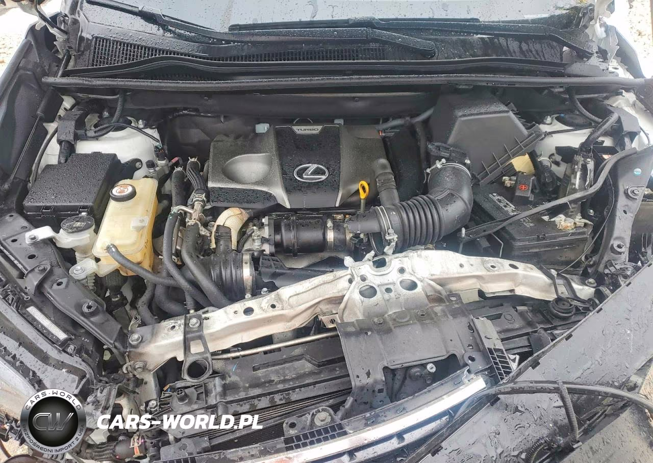 2021 Lexus Nx 300 Base VIN:JTJDARBZ0M5029356 - 11