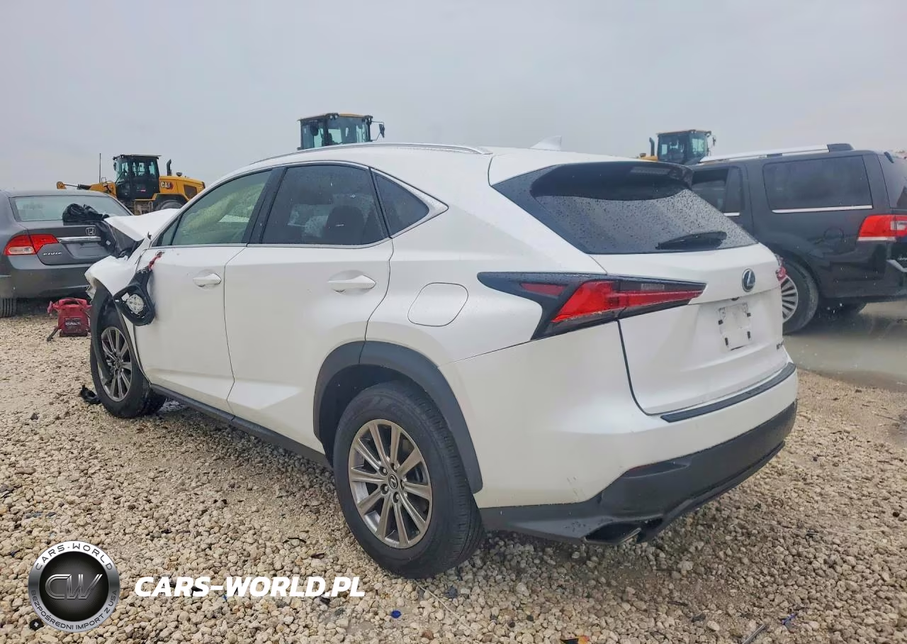 2021 Lexus Nx 300 Base VIN:JTJDARBZ0M5029356 - 2