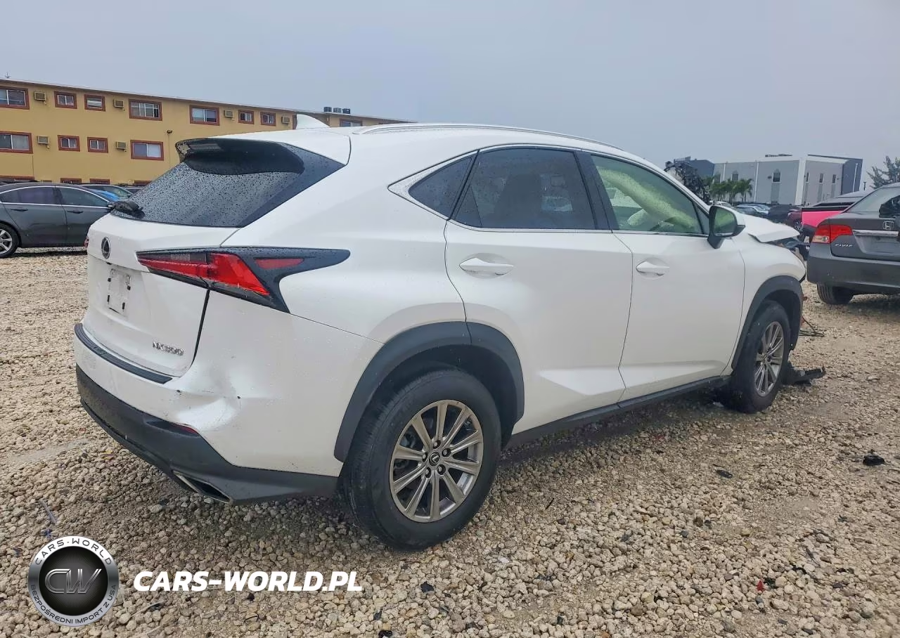 2021 Lexus Nx 300 Base VIN:JTJDARBZ0M5029356 - 3