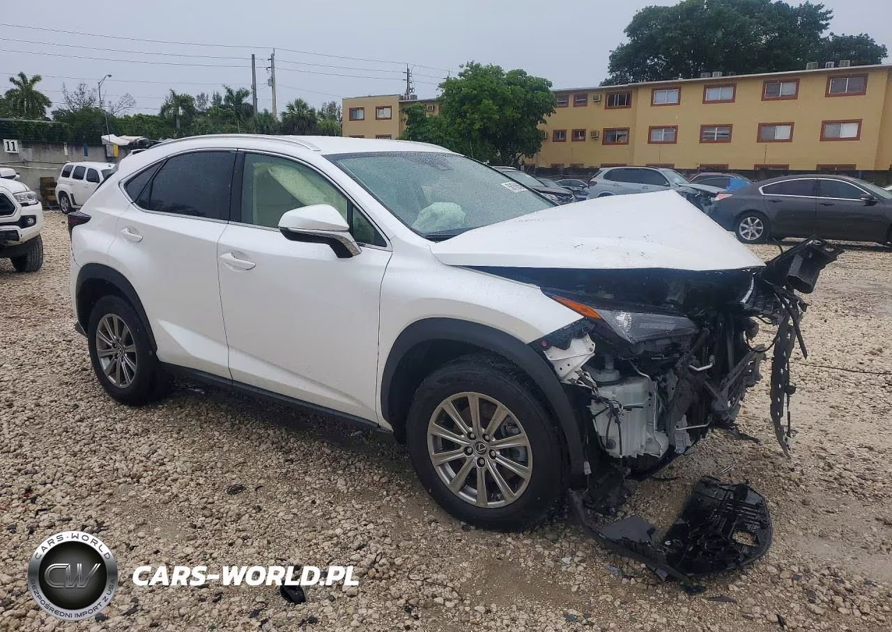 2021 Lexus Nx 300 Base VIN:JTJDARBZ0M5029356 - 4