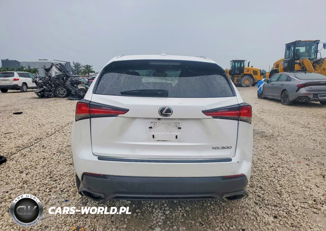 2021 Lexus Nx 300 Base VIN:JTJDARBZ0M5029356 - 6
