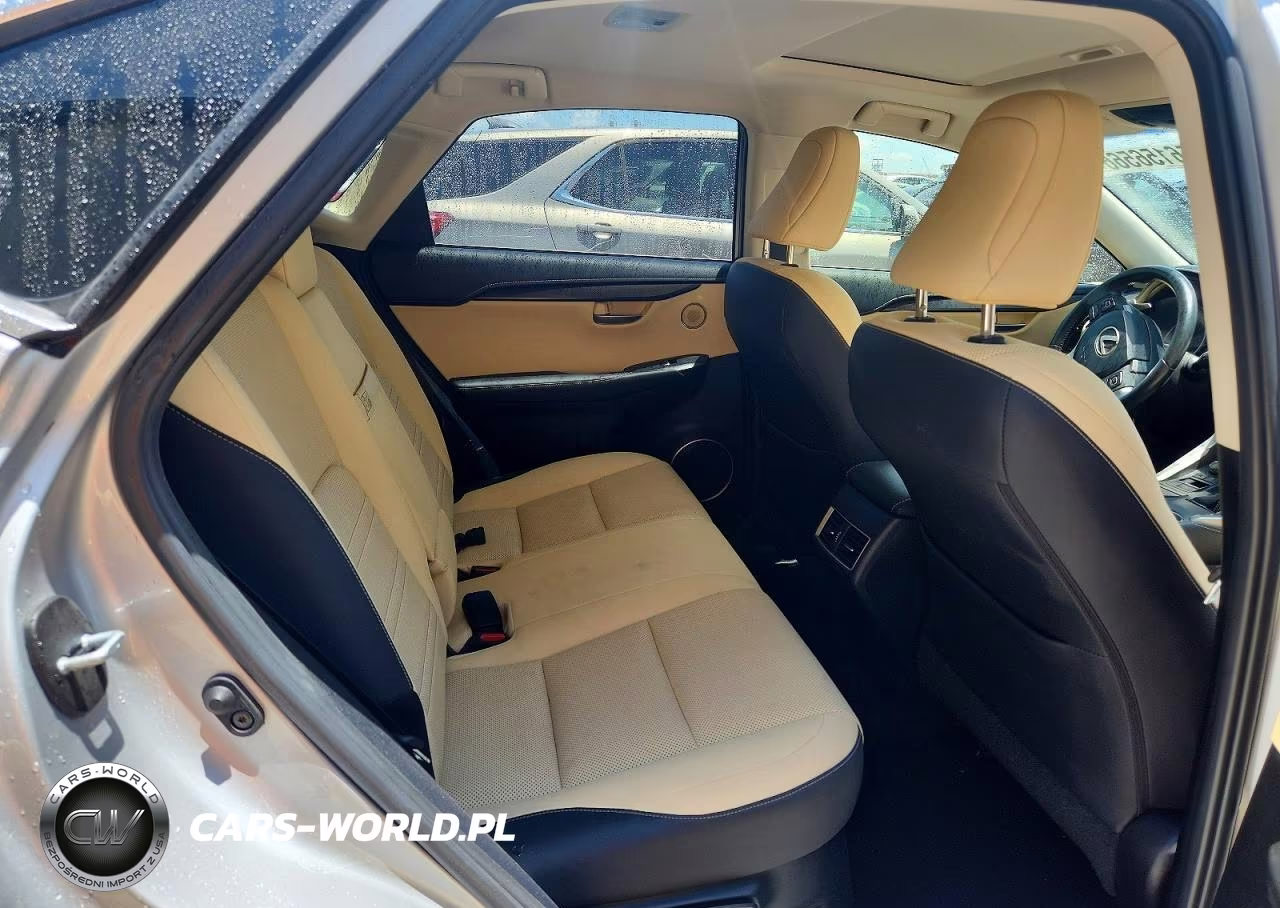 2019 Lexus Nx 300 Base VIN:JTJYARBZ5K2120252 - 11