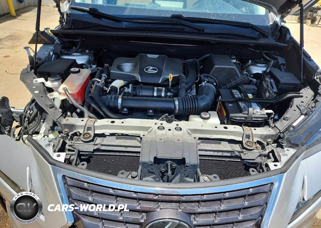 2019 Lexus Nx 300 Base VIN:JTJYARBZ5K2120252 - 12