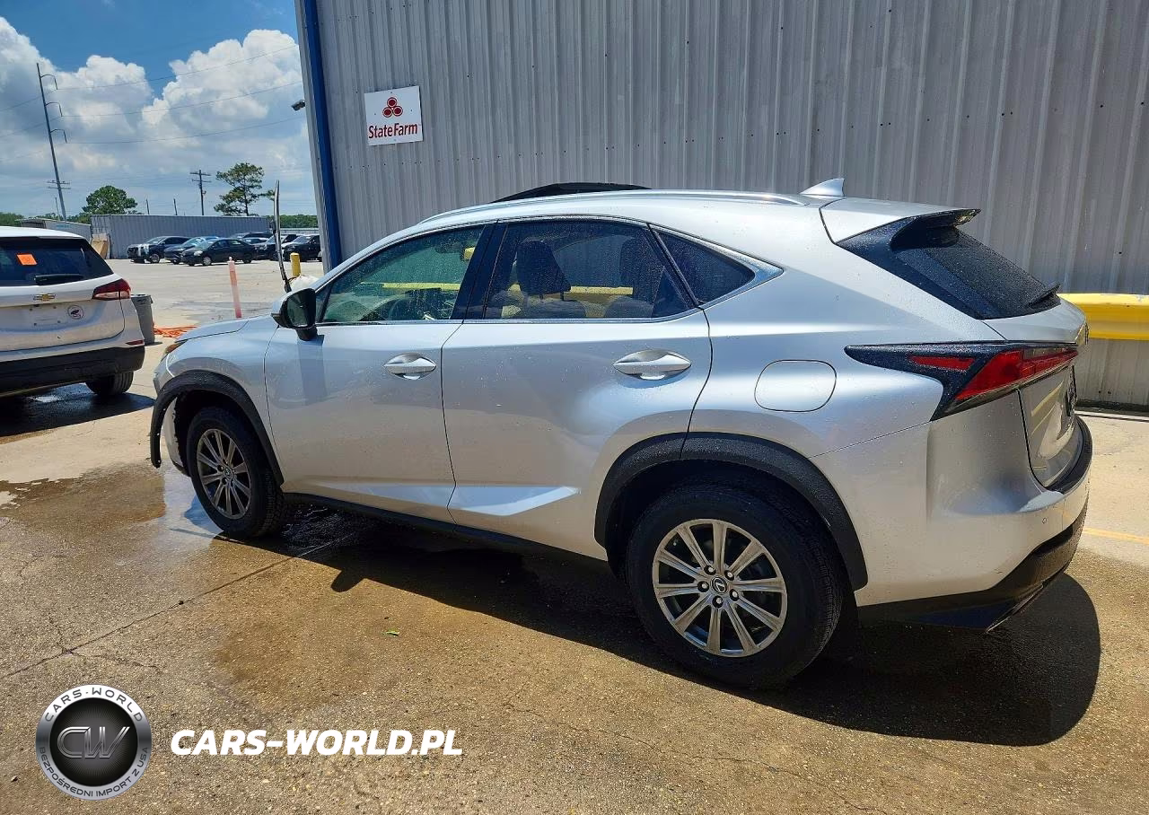 2019 Lexus Nx 300 Base VIN:JTJYARBZ5K2120252 - 2