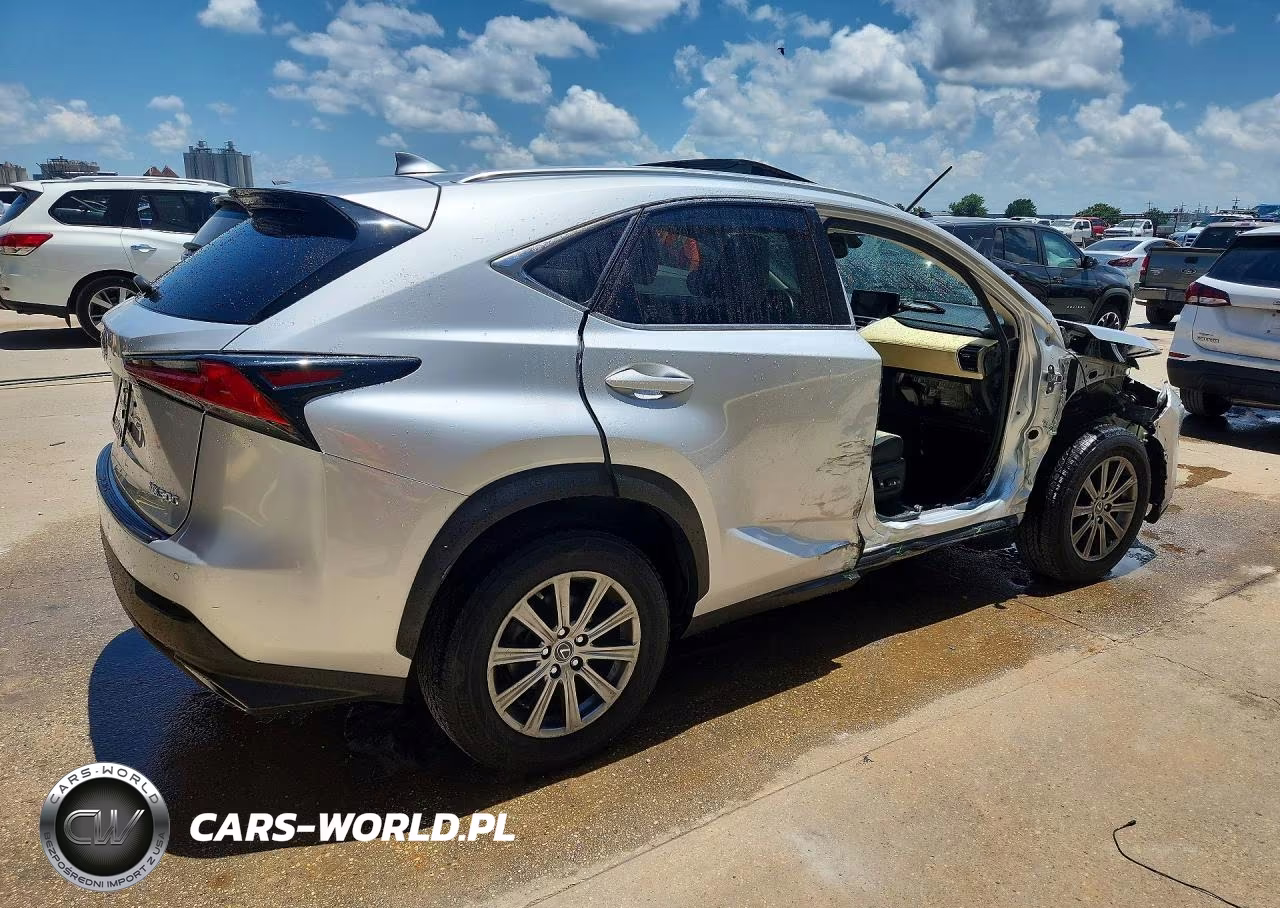 2019 Lexus Nx 300 Base VIN:JTJYARBZ5K2120252 - 3