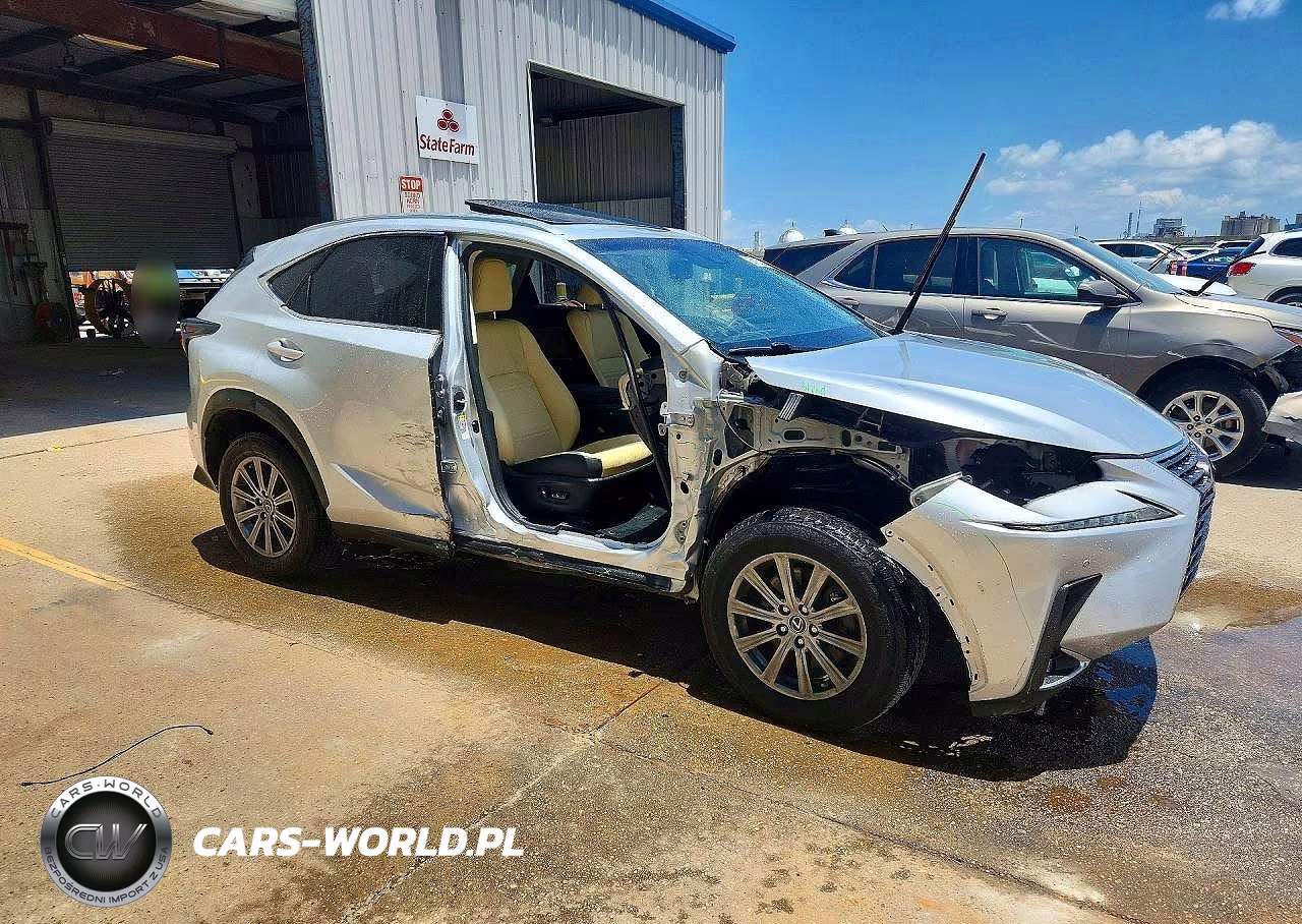 2019 Lexus Nx 300 Base VIN:JTJYARBZ5K2120252 - 4