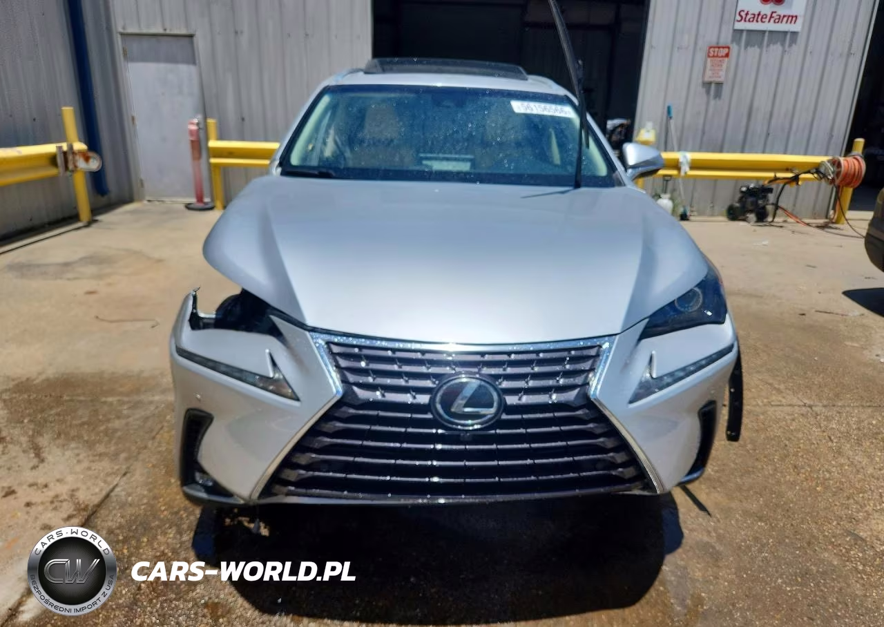 2019 Lexus Nx 300 Base VIN:JTJYARBZ5K2120252 - 5