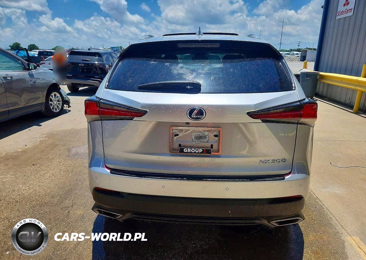 2019 Lexus Nx 300 Base VIN:JTJYARBZ5K2120252 - 6