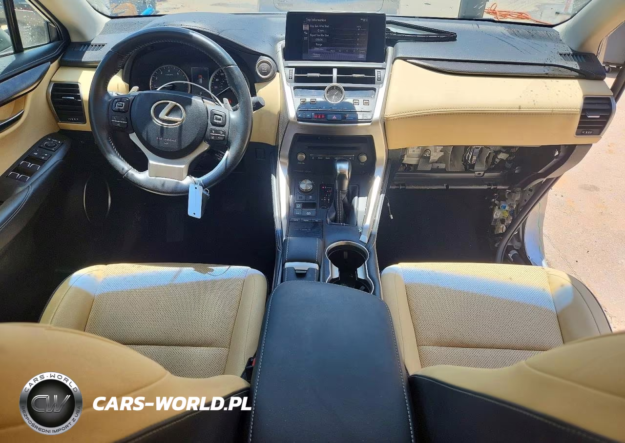 2019 Lexus Nx 300 Base VIN:JTJYARBZ5K2120252 - 8