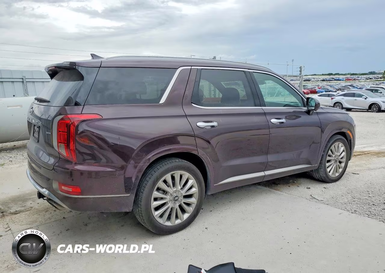 2020 Hyundai Palisade Limited VIN:KM8R5DHE3LU039741 - 3