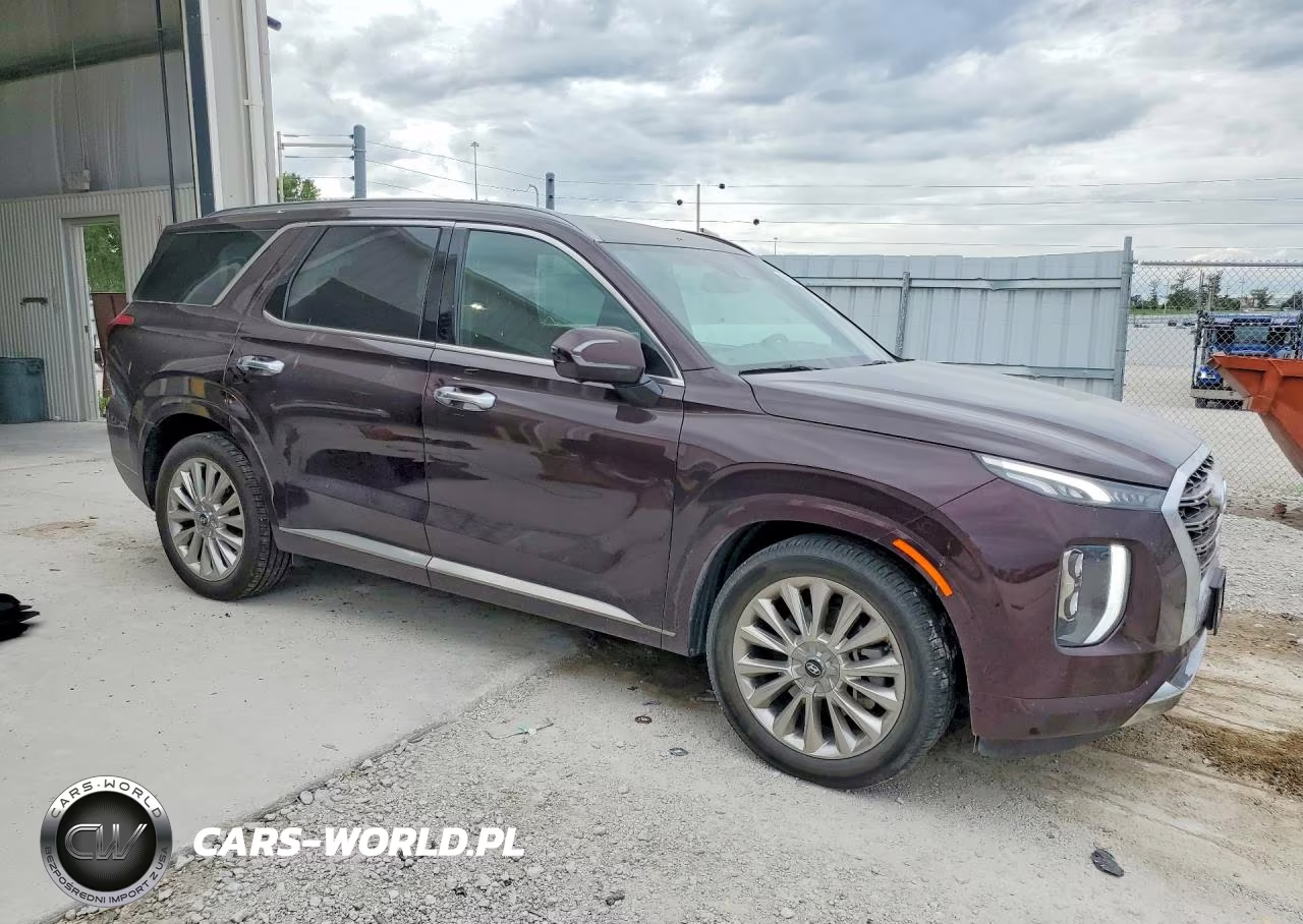 2020 Hyundai Palisade Limited VIN:KM8R5DHE3LU039741 - 4