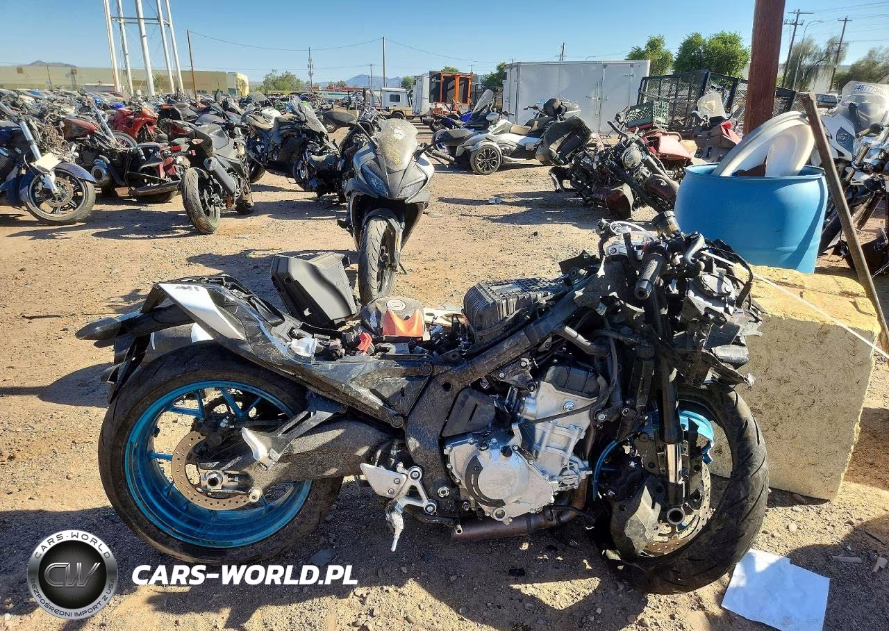 2025 Cf Moto 675Ss