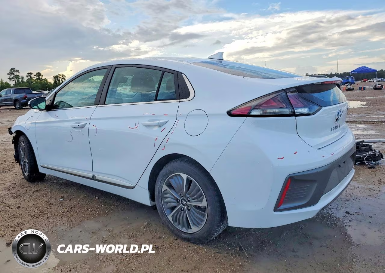 2021 Hyundai Ioniq Sel VIN:KMHC75LD5MU256083 - 2