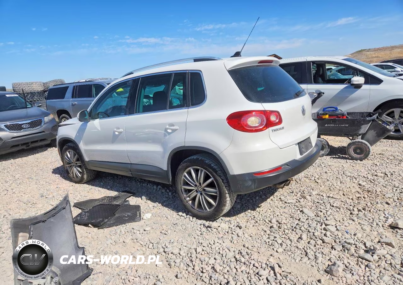 2011 Volkswagen Tiguan S VIN:WVGAV7AX3BW521493 - 2