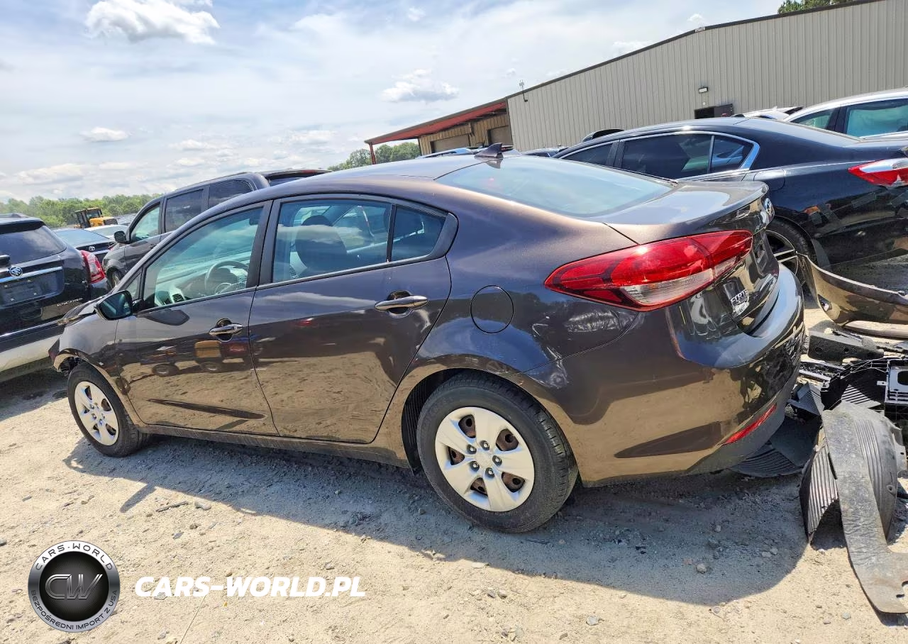 2017 Kia Forte Lx VIN:3KPFK4A78HE101216 - 2