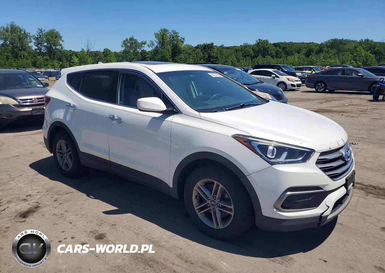 2017 Hyundai Santa Fe Sport 2.4L VIN:5XYZTDLB3HG382422 - 4