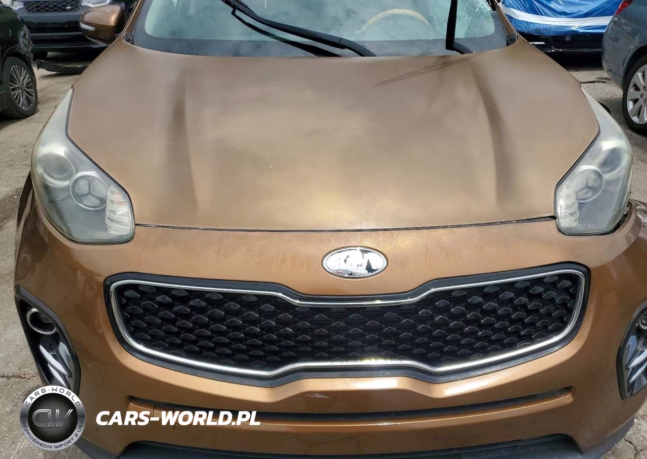 2017 Kia Sportage Ex VIN:KNDPN3AC8H7259283 - 11