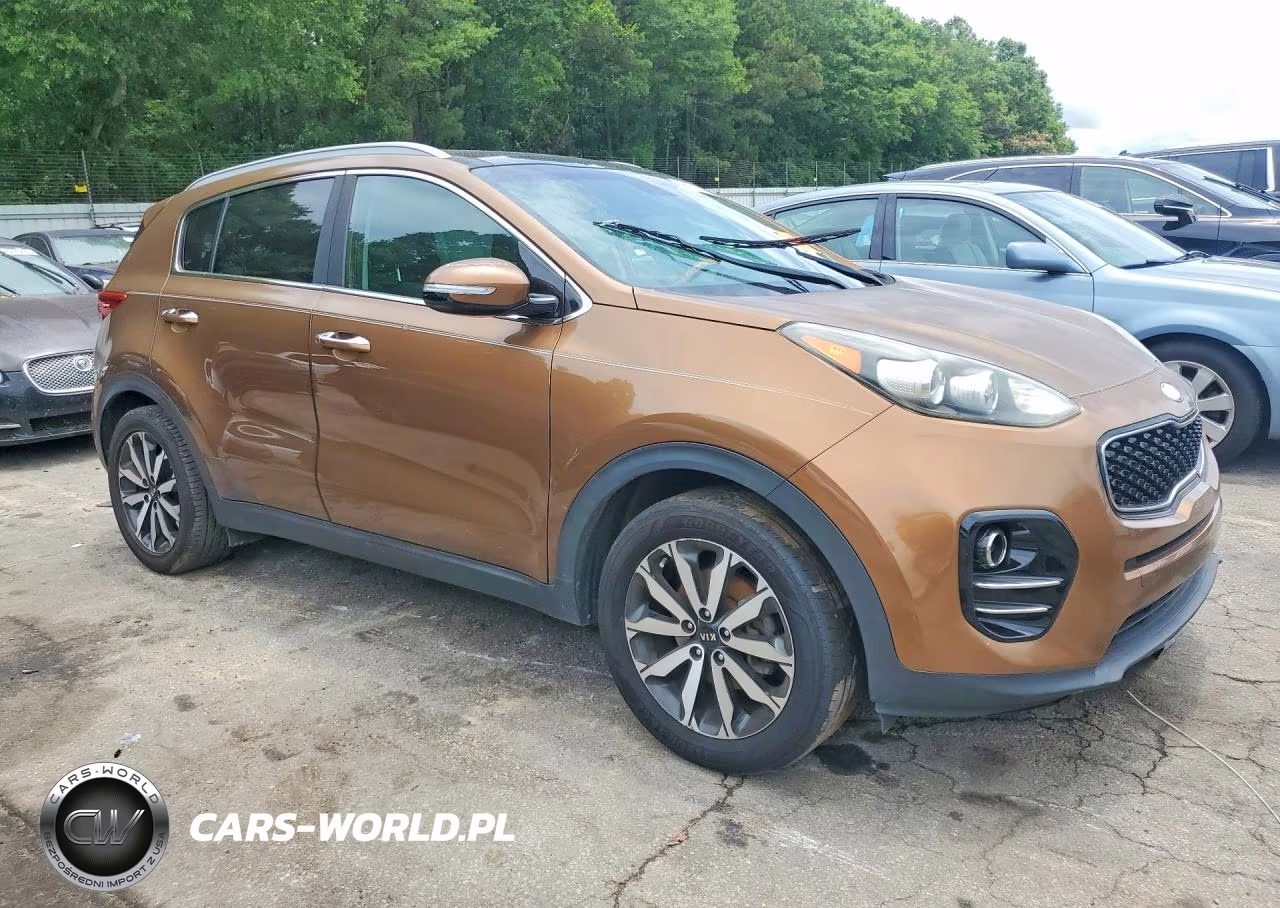 2017 Kia Sportage Ex VIN:KNDPN3AC8H7259283 - 4