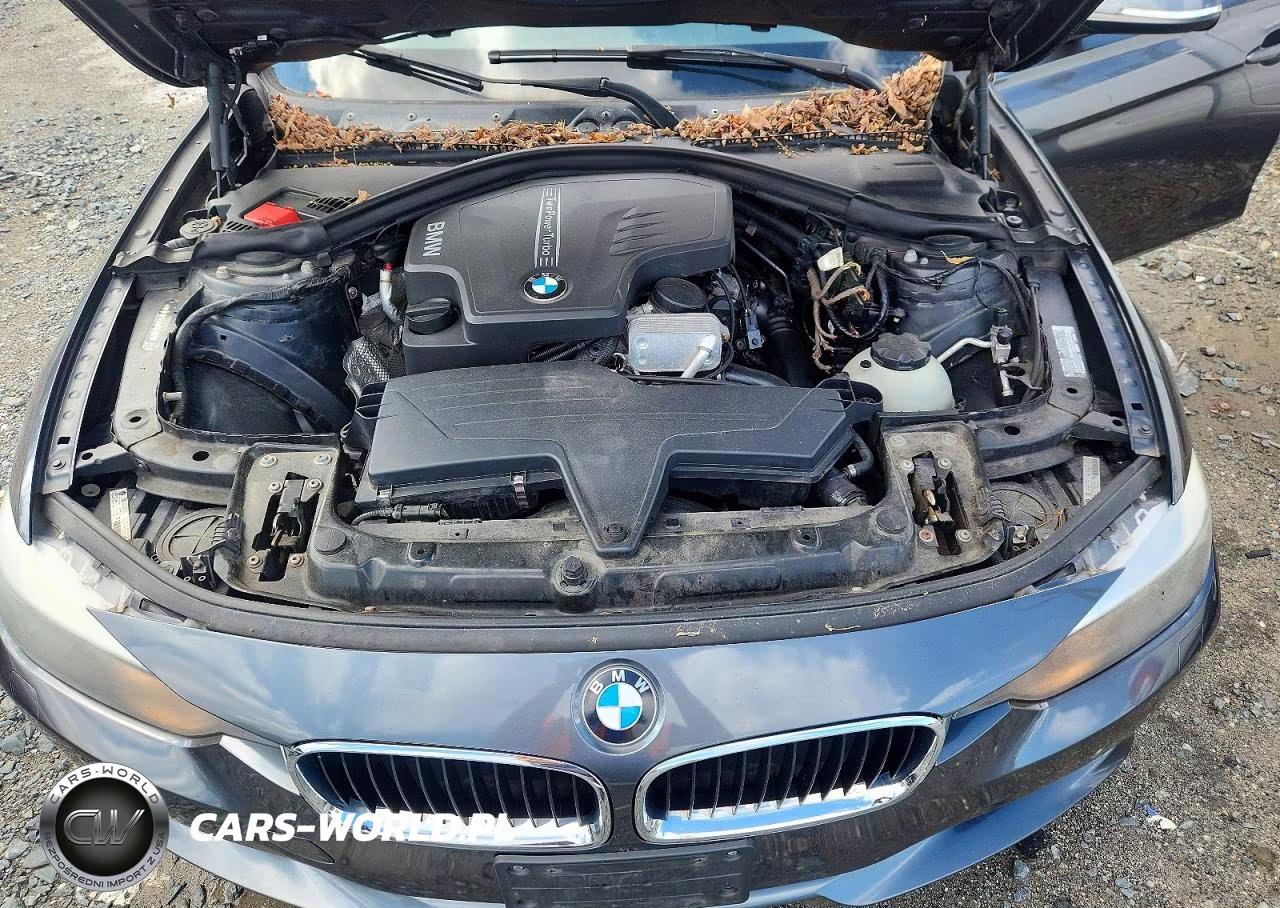 2013 BMW 328 Xi Sulev VIN:WBA3B5G59DNS02685 - 11