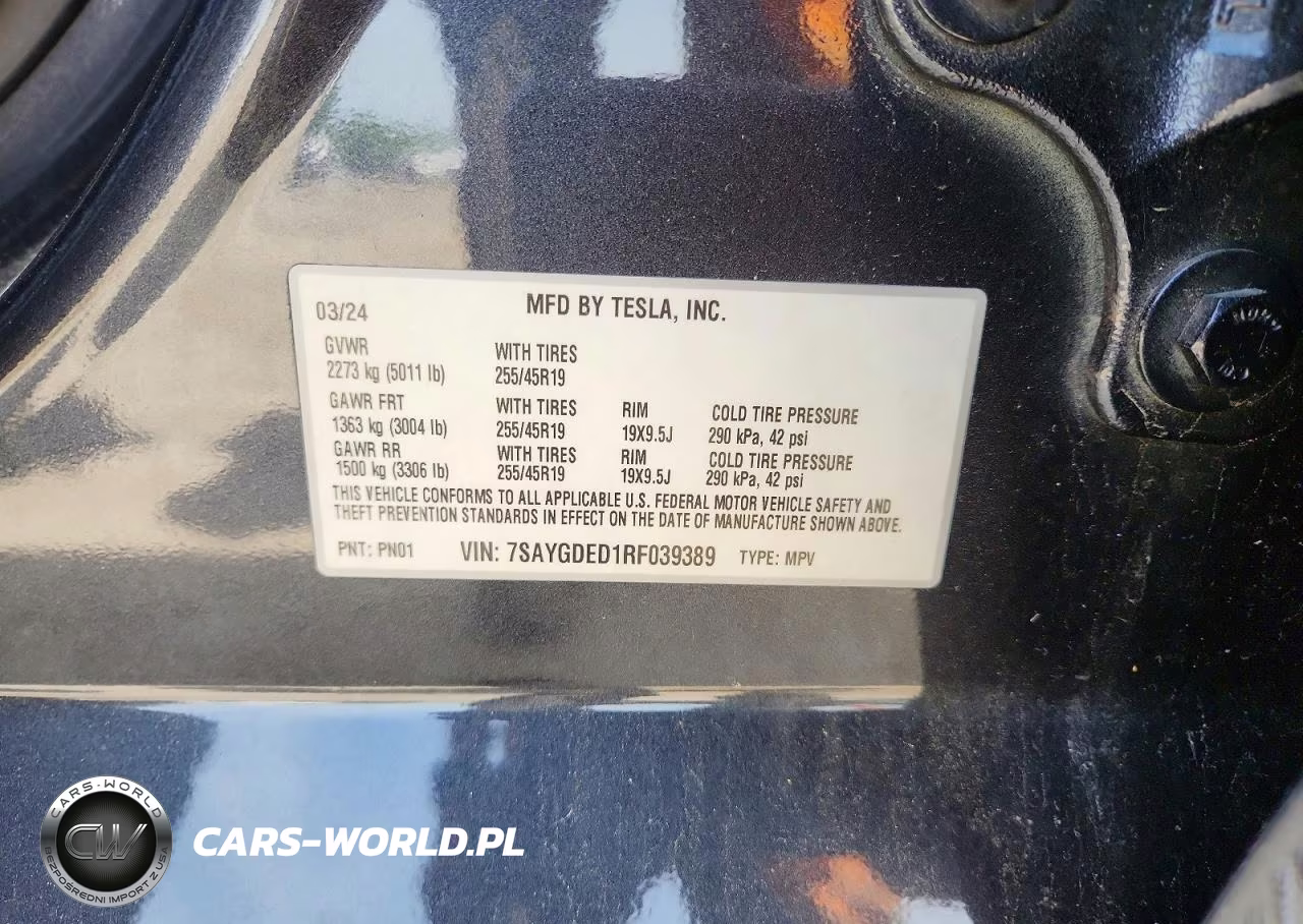 2024 Tesla Model Y VIN:7SAYGDED1RF039389 - 12