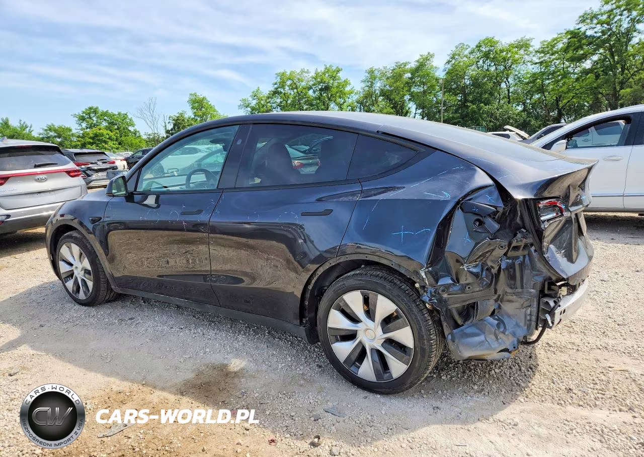2024 Tesla Model Y VIN:7SAYGDED1RF039389 - 2