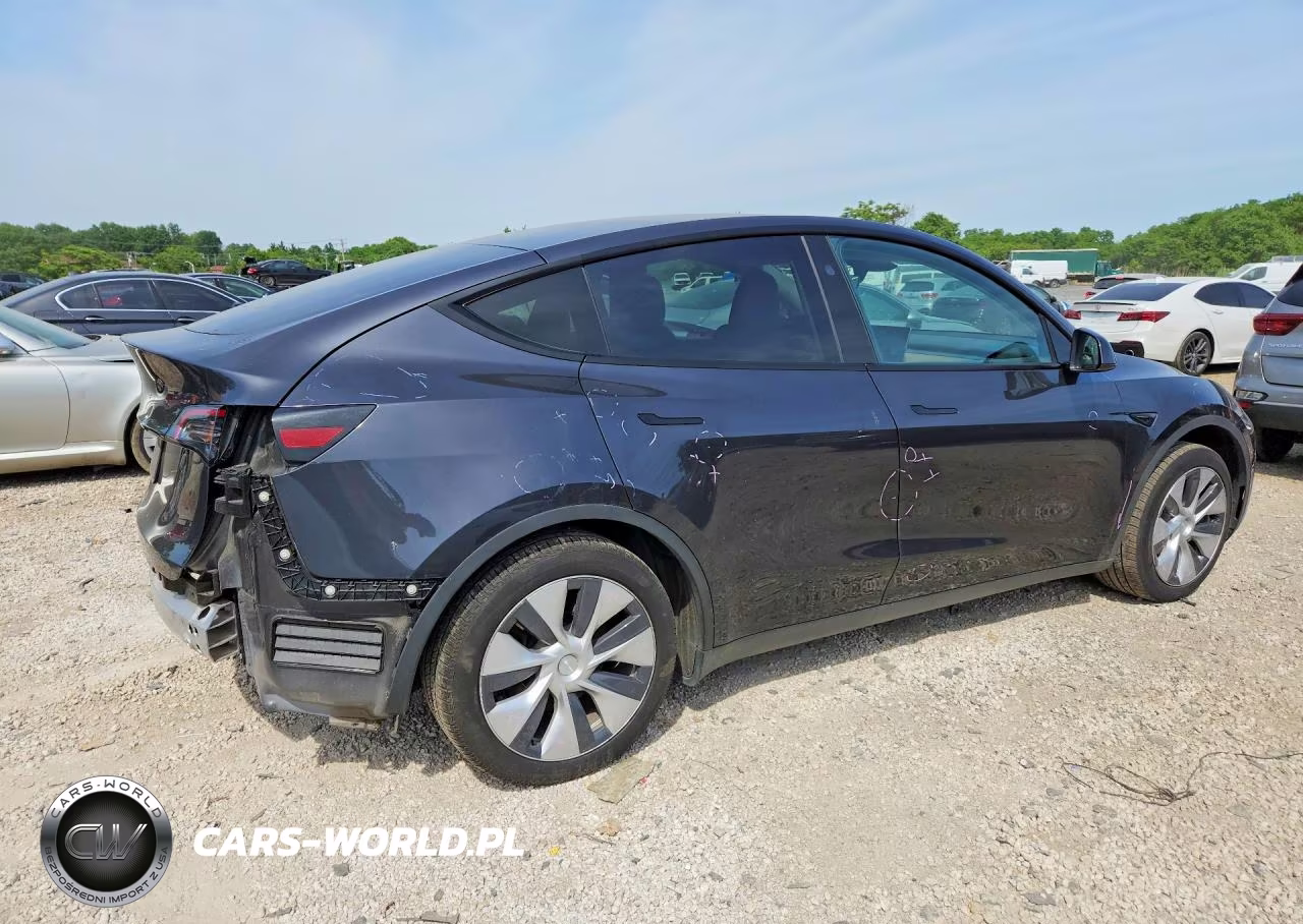 2024 Tesla Model Y VIN:7SAYGDED1RF039389 - 3