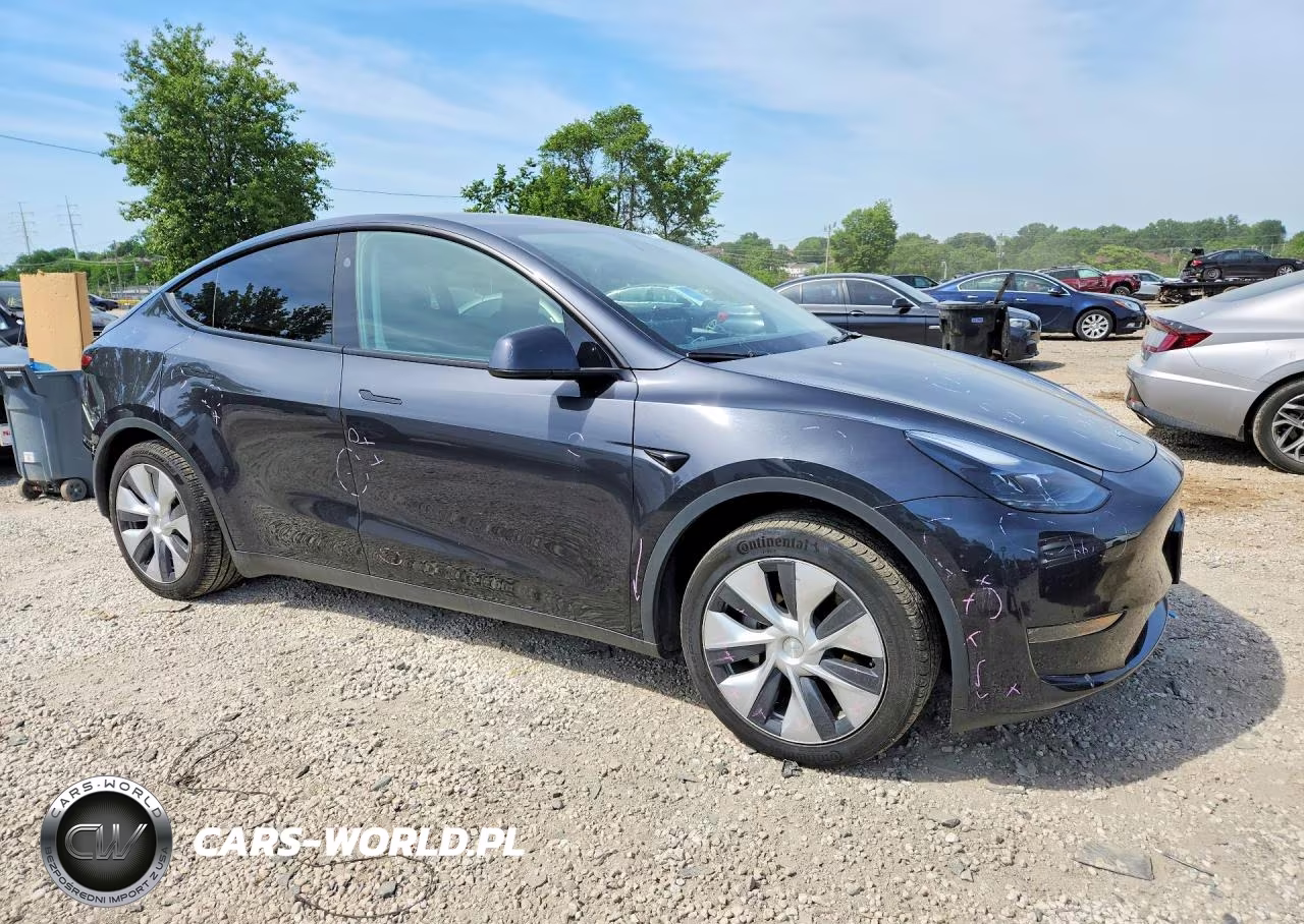 2024 Tesla Model Y VIN:7SAYGDED1RF039389 - 4