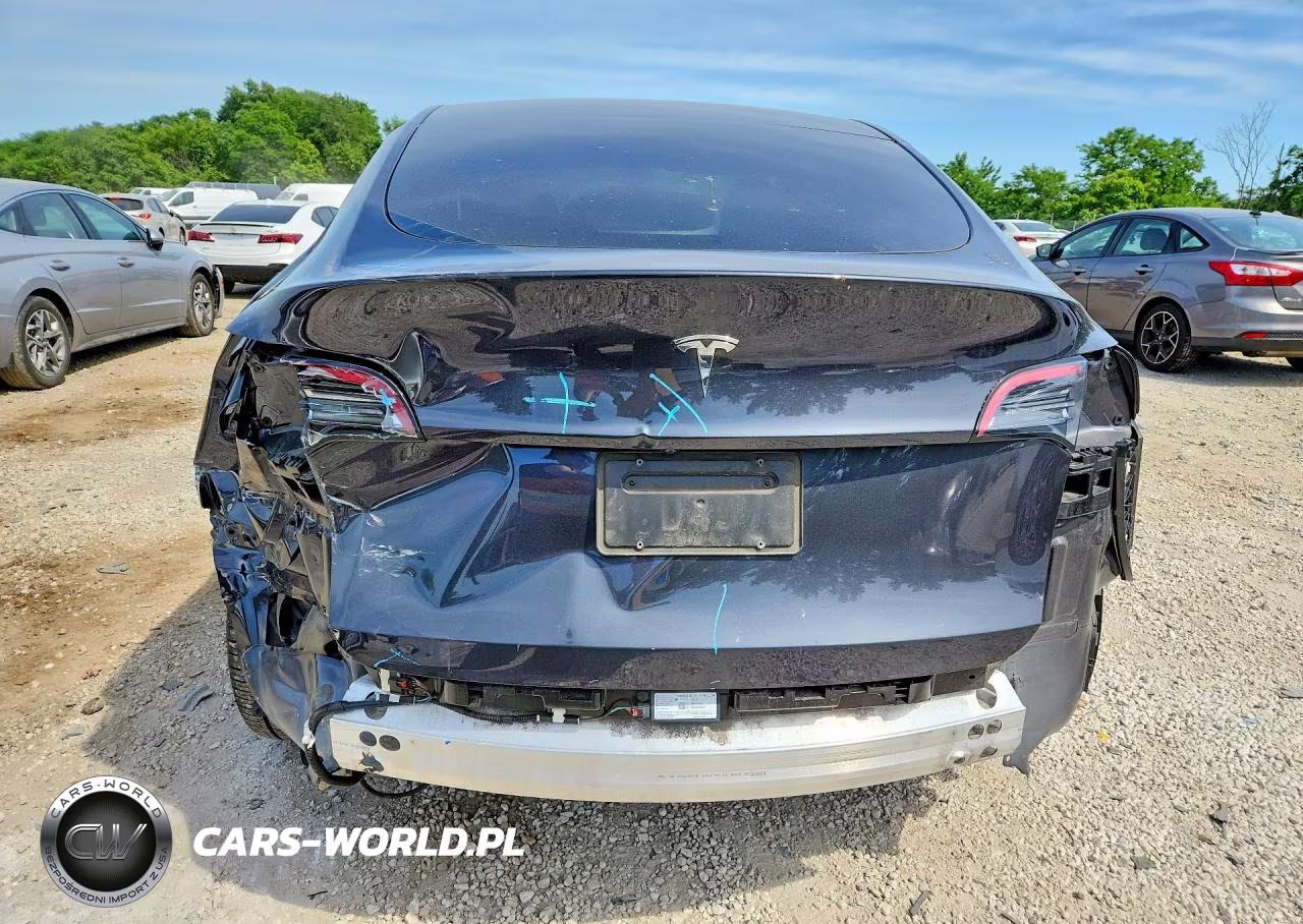 2024 Tesla Model Y VIN:7SAYGDED1RF039389 - 6