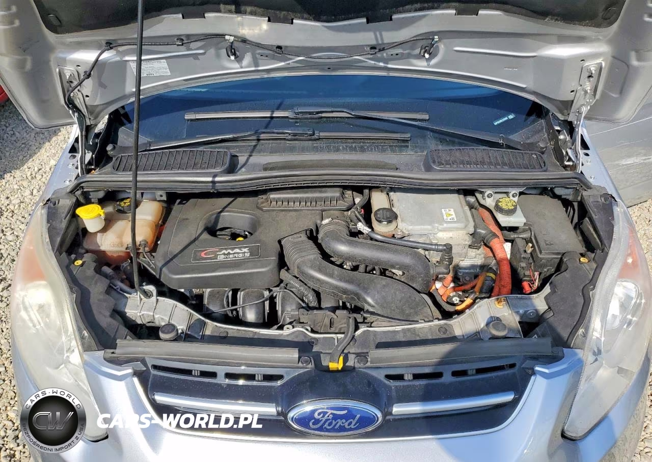 2014 Ford C-Max Premium VIN:1FADP5CU2EL520480 - 11